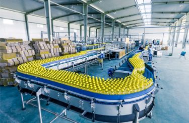 food-bevrage-industry Food & Beverages